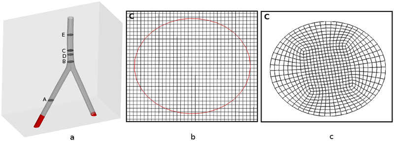 Figure 31: