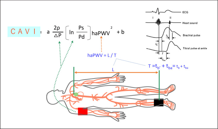 Fig. 2