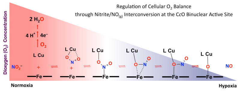 Scheme 7