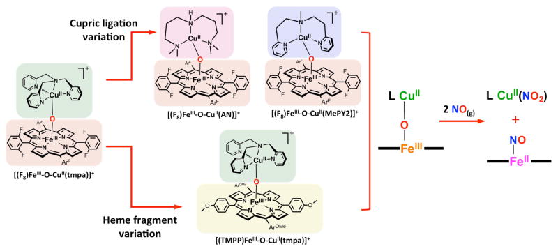 Scheme 4