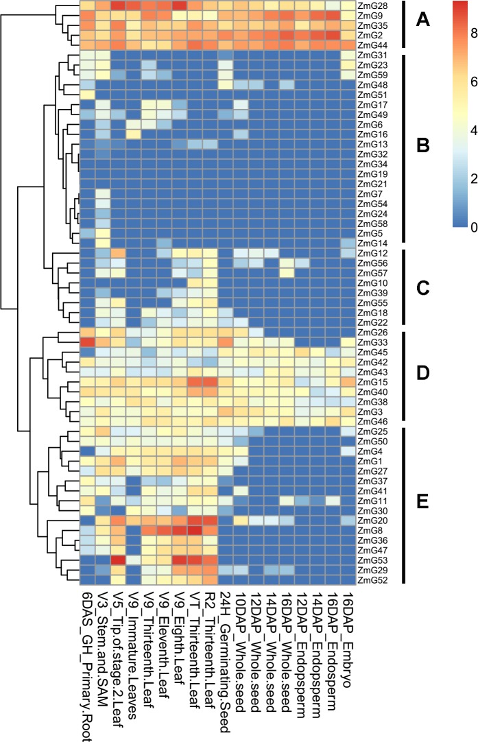 Fig 4