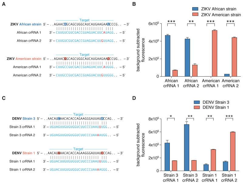 Nucleic acid detection with CRISPR-Cas13a/C2c2 - PMC