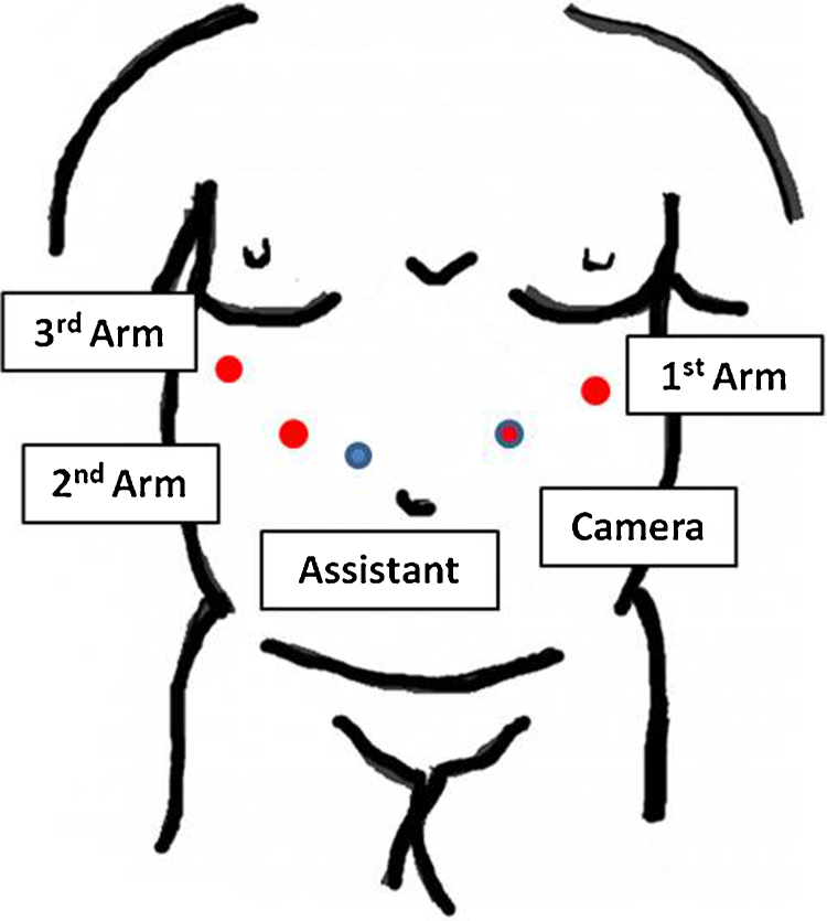 Fig. 2