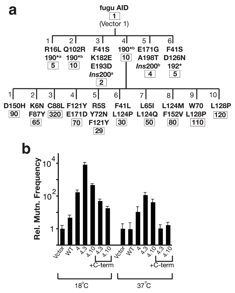 Figure 4