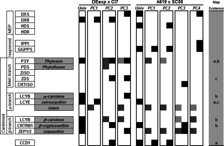 Fig. 3