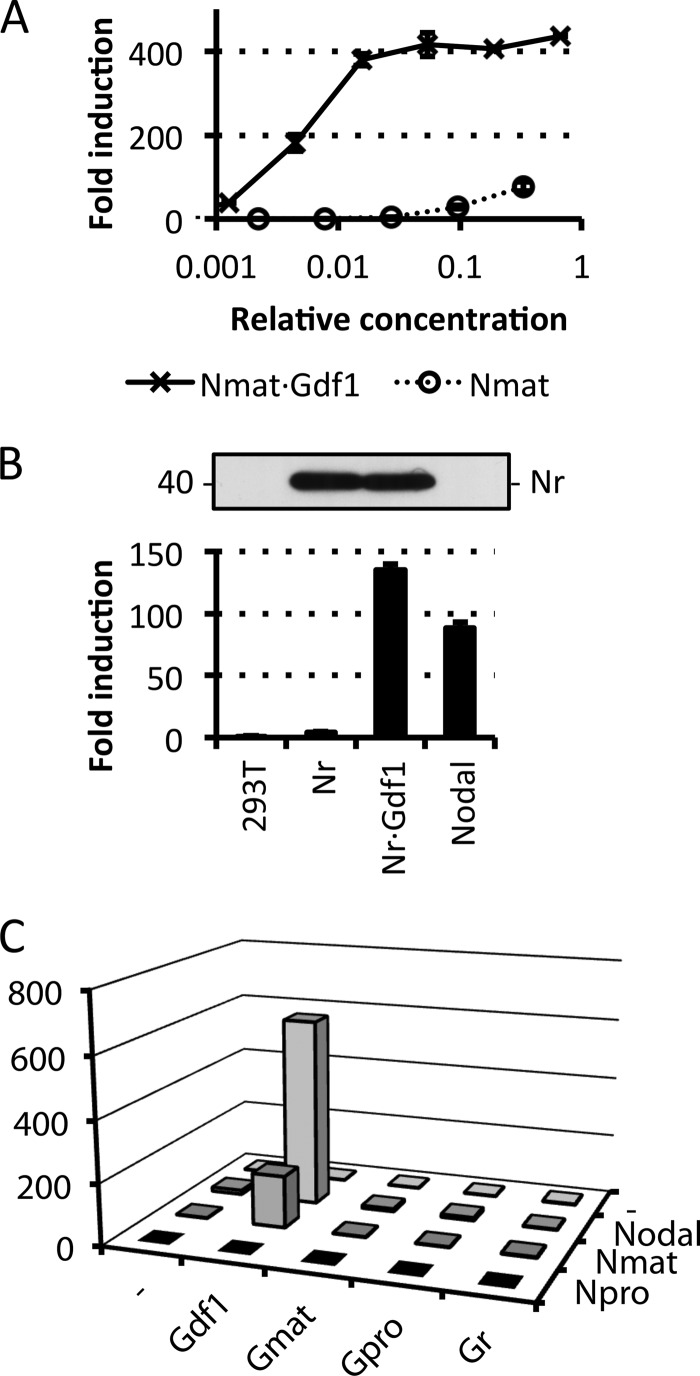 FIGURE 2.