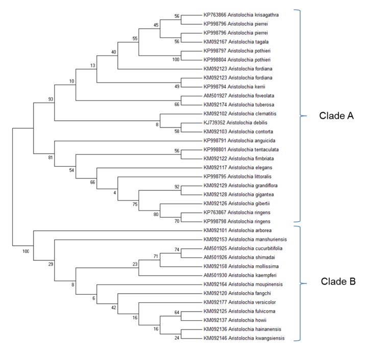 FIGURE 3