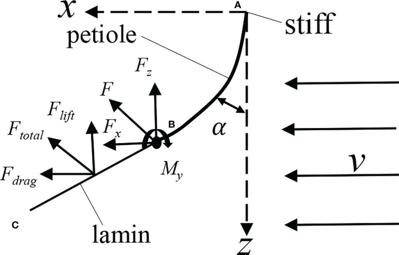 Figure 11