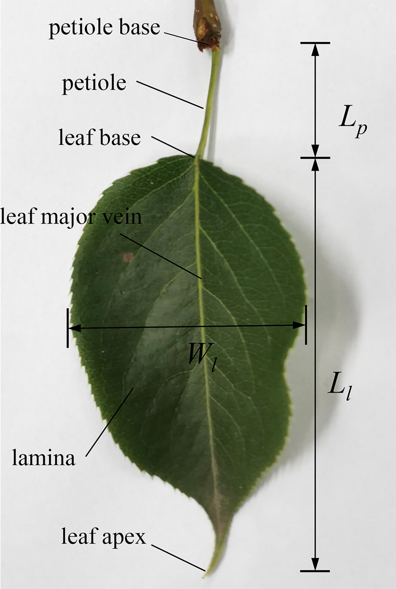 Figure 2