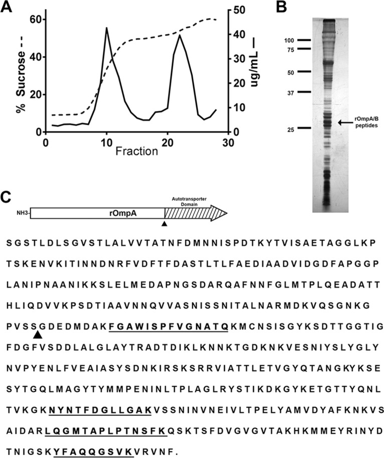 FIG 1