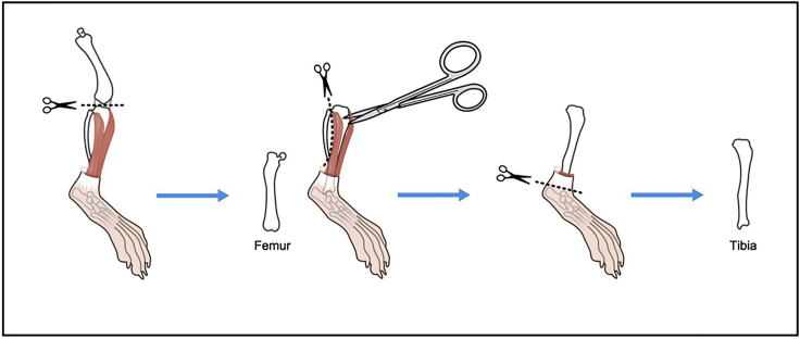 Figure 3