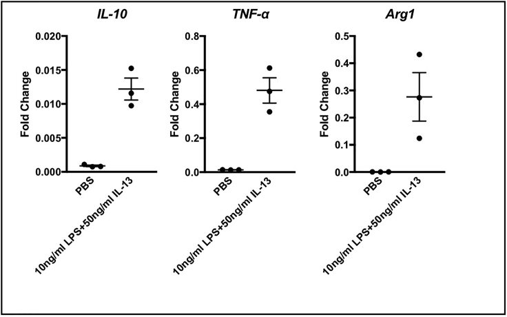 Figure 6