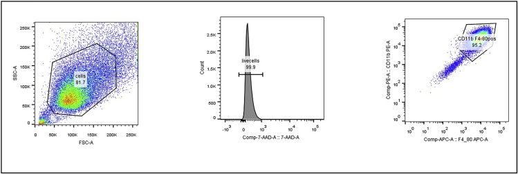 Figure 5