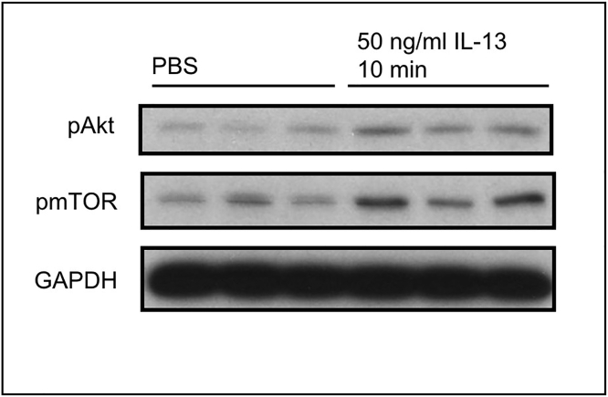 Figure 7