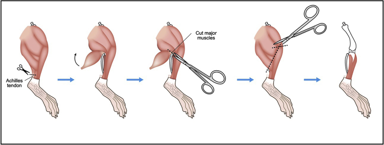 Figure 2