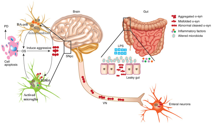 Figure 1.