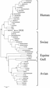 FIG. 2.