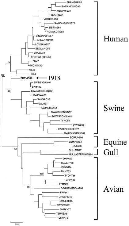 FIG. 2.