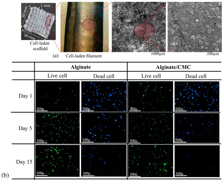 Figure 20