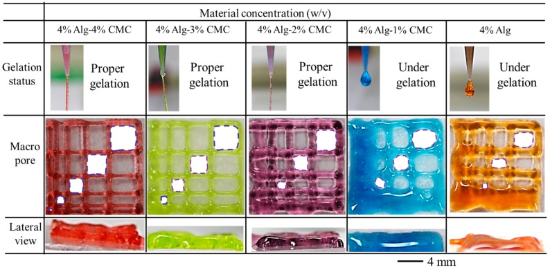 Figure 10