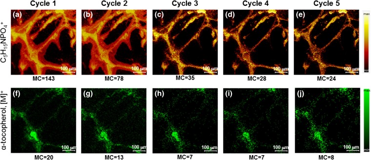 Figure 3