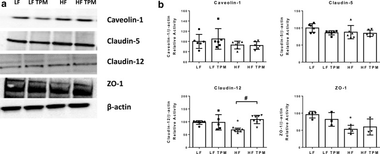 Fig. 7