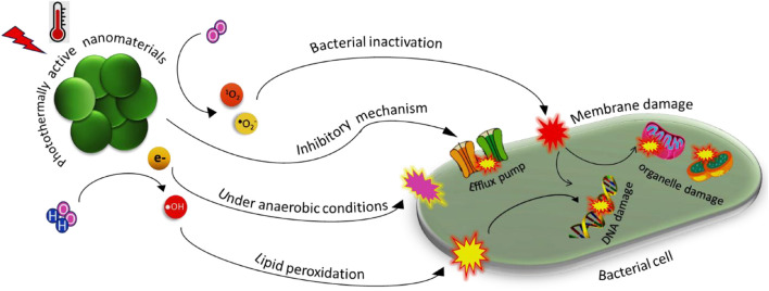 FIGURE 2