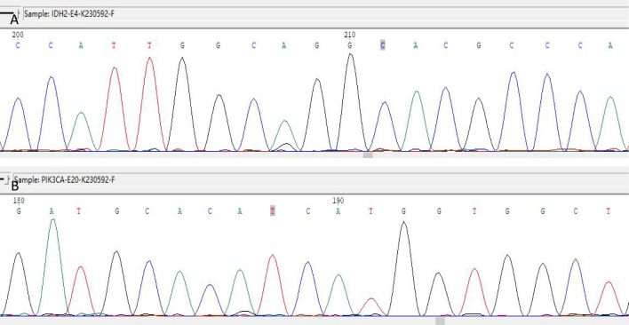 Figure 6