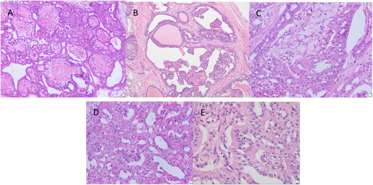 Figure 3