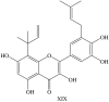 Structure XIX