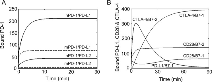 FIGURE 11.