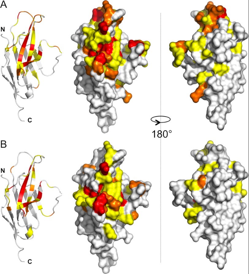 FIGURE 3.