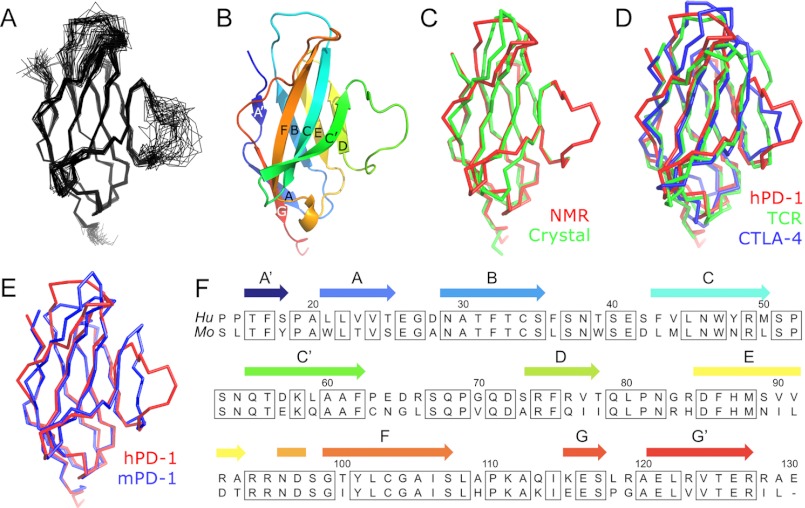 FIGURE 1.