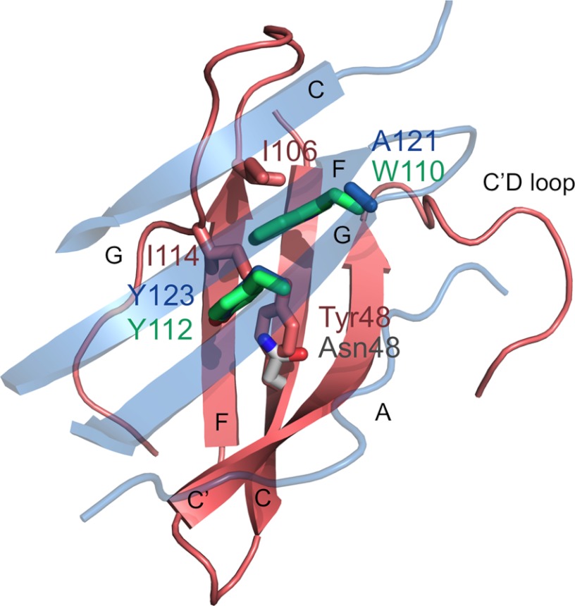 FIGURE 4.