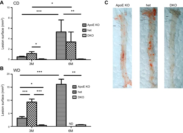 Effect of Cyp27A1 gene dosage on atherosclerosis development in ApoE ...