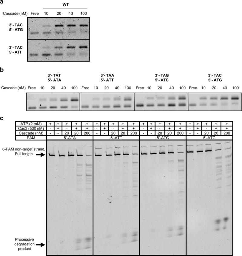 Extended Data Figure 6