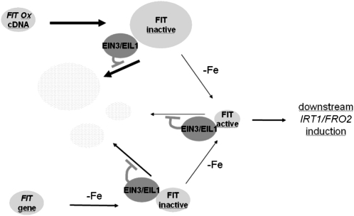 Figure 8.