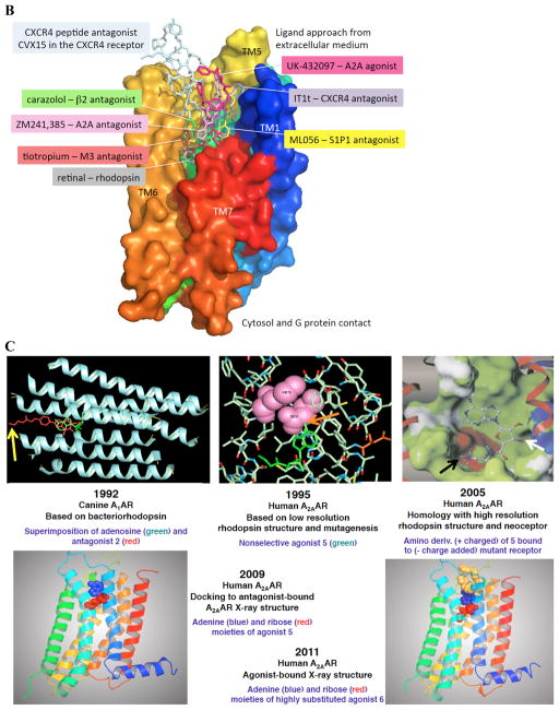  Figure 2 