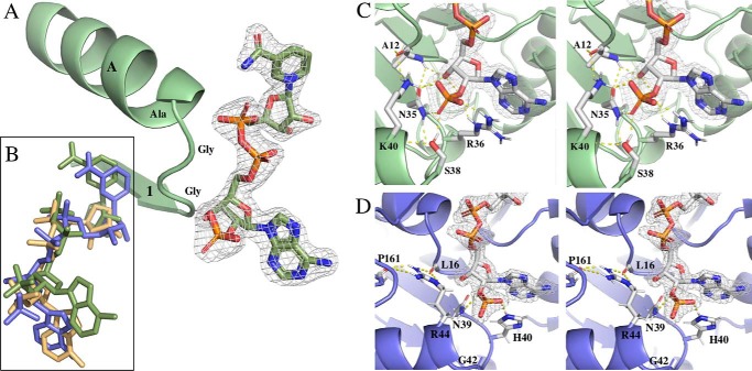 Figure 5.