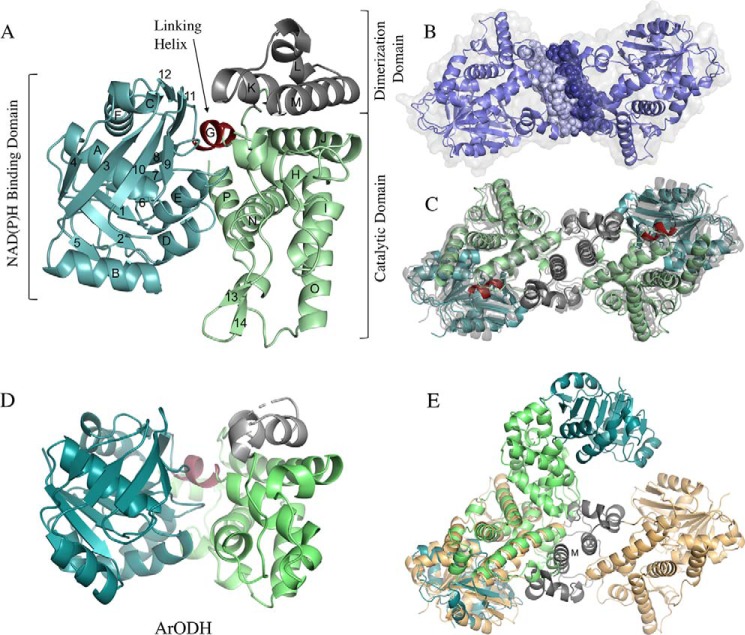 Figure 4.