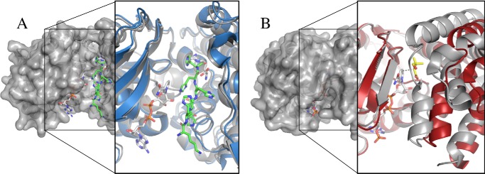 Figure 6.