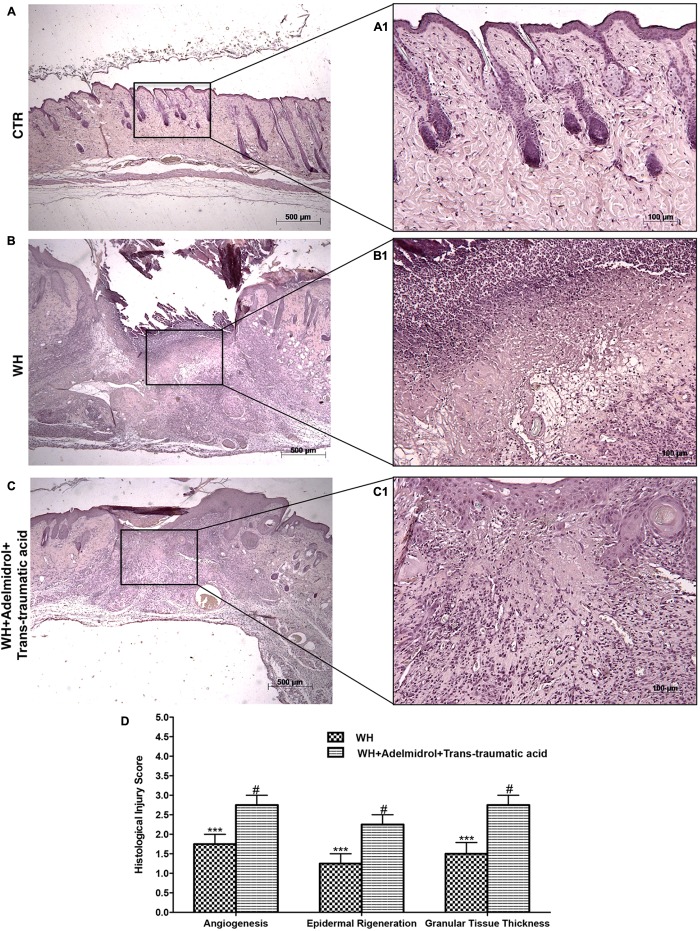 FIGURE 1