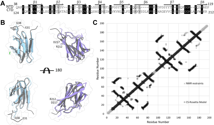 Figure 1