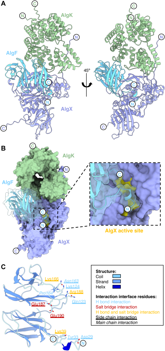 Figure 6