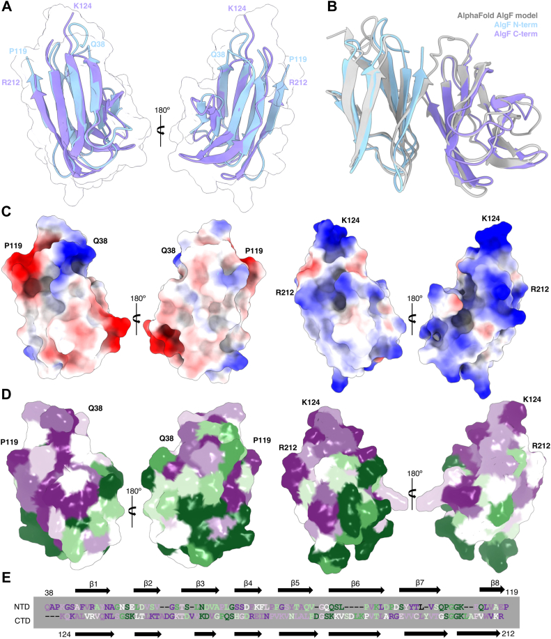 Figure 2