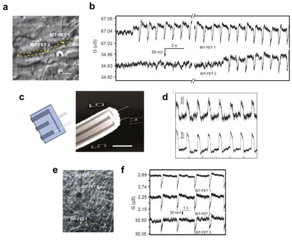 Figure 12