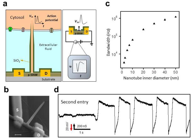 Figure 10