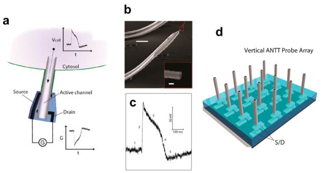 Figure 11