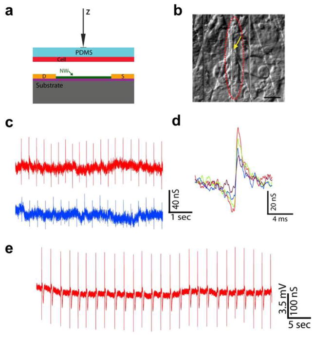 Figure 4