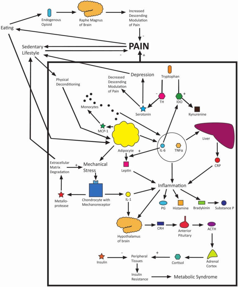 Figure 5.